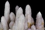 Cactus Quartz (Amethyst) Cluster - South Africa #78659-4